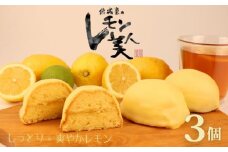 レモン美人 3個 レモンケーキ レモン 檸檬 ケーキ お菓子 焼菓子 スイーツ デザート レモンチョコ チョコ チョコレート ギフト プチギフト プレゼント お試し お土産 結城堂 新潟県 新発田市 yukido005