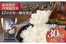 【12月中旬 順次配送】R7年産先行予約 新米  隔月 定期便 30kg 10kg×3回 特別栽培米 コシヒカリ コンテスト 入賞米 米 おこめ お米 ブランド米 ご飯 ごはん オニギリ おにぎり お弁当 玄米 対応可 kome 新米 5kg 2袋 送料無料 数量限定 農家直送 産地直送 国産 川瀬農園 新潟 新発田 kawase5004