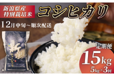 【12月中旬 順次配送】R7年産先行予約 新米 定期便 15kg 5kg×3回 特別栽培米 コシヒカリ コンテスト 入賞米 米 おこめ お米 ブランド米 ご飯 ごはん オニギリ お弁当 玄米 対応可 kome 新米 5kg 送料無料 数量限定 農家直送 産地直送 国産 四代目 悠助 新潟 新発田 kawase1004