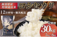 【12月中旬 順次配送】R7年産先行予約 新米 定期便 30kg 5kg×6回 特別栽培米 コシヒカリ コンテスト 入賞米 米 おこめ お米 ブランド米 ご飯 ごはん オニギリ お弁当 玄米 対応可 kome 新米 5kg 送料無料 数量限定 農家直送 産地直送 国産  新潟 新発田 kawase2004