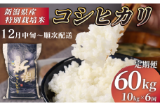 【12月中旬 順次配送】R7年産先行予約 新米 定期便 60kg 10kg×6回 特別栽培米 コシヒカリ コンテスト 入賞米 米 おこめ お米 ブランド米 ご飯 ごはん オニギリ お弁当 玄米 対応可 kome 新米 5kg 2袋 送料無料 数量限定 農家直送 産地直送 国産四代目 悠助 新潟 新発田 kawase4004