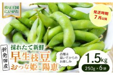 早生枝豆 1.5kg【 数量限定 早生 枝豆 おつな姫 陽惠 新潟県 先行予約 1.5kg 株式会社せいだ 新潟県 新発田市 seida019 】