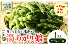 根強い人気の枝豆！ 湯あがり娘 1kg【 先行予約 予約 茶豆 枝豆 新潟産 湯あがり娘 1kg 数量限定 株式会社せいだ 新潟県 新発田市 seida020 】