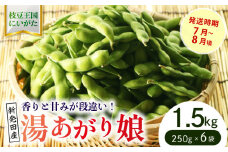 根強い人気の枝豆！ 湯あがり娘 1.5kg【 先行予約 予約 茶豆 枝豆 新潟産 湯あがり娘 1.5kg 数量限定 株式会社せいだ 新潟県 新発田市 seida021 】