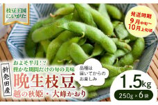 貴重な枝豆！ 晩生（おくて）枝豆 1.5kg 【 数量限定 1.5kg 枝豆 茶豆 新潟産 つまみ 晩生 株式会社せいだ 新潟県 新発田市 seida025 】