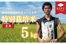 先行予約 コシヒカリ 玄米 5kg 令和7年産 特別栽培米 こしひかり 米 お米 こめ 新潟米 新潟県産 新潟産 新潟 新潟県 新発田産 新発田 新発田市 斗伸 toushin028