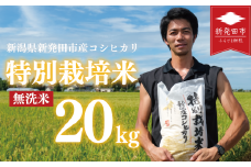 先行予約 コシヒカリ 無洗米 20kg 令和7年産 特別栽培米 こしひかり 米  お米 こめ 新潟米 新潟県産 新潟産 新潟 新潟県 新発田産 新発田 新発田市 斗伸 toushin025