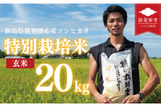 先行予約 コシヒカリ 玄米 20kg 令和7年産 特別栽培米 こしひかり 米 お米 こめ 新潟米 新潟県産 新潟産 新潟 新潟県 新発田産 新発田 新発田市 斗伸 toushin026
