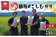 先行予約 こしひかり 玄米 5kg 令和7年産 新米 甘うま越後の コシヒカリ 米 お米 こめ 新潟米 新潟県産 新潟産 新潟 新潟県 新発田産 新発田 新発田市 斗伸 toushin030