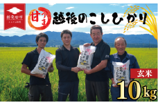 先行予約 こしひかり 玄米 10kg 令和7年産 新米 甘うま越後の コシヒカリ 米 お米 こめ 新潟米 新潟県産 新潟産 新潟 新潟県 新発田産 新発田 新発田市 斗伸 toushin032