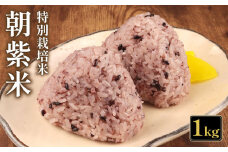 令和6年産 朝紫米 1kg 古代米 雑穀 紫米 もち米 黒もち米 特別栽培米 減農薬 栄養 健康 米どころ ご飯 新発田産 新潟 米 お米 こめ させ農園 新潟県 新発田市 sase009