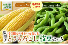 夏の味覚の最強コンビ！枝豆＆とうもろこしセット【 新潟県 新発田産 枝豆 とうもろこし セット 先行予約 数量限定 seida027 】