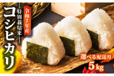 【2025年12月発送】令和7年産 新米 特別栽培米 コシヒカリ 5kg 減農薬 特栽米 新潟県産コシヒカリ 新発田産 新潟 米 アグリ中俵 新潟県 新発田市 nakatawara001_01_202512
