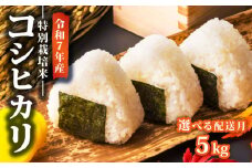 【2026年2月発送】 令和7年産 特別栽培米 コシヒカリ 5kg 減農薬 特栽米 新潟県産コシヒカリ 新発田産 新潟 米 アグリ中俵 新潟県 新発田市 nakatawara001_202602