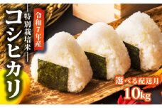 【2026年2月発送】 令和7年産 特別栽培米 コシヒカリ 10kg 減農薬 特栽米 新潟県産コシヒカリ 新発田産 新潟 米 アグリ中俵 新潟県 新発田市 nakatawara002_202602