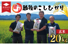 先行予約 こしひかり 玄米 20kg 令和7年産 新米 甘うま越後の コシヒカリ 米 お米 こめ 新潟米 新潟県産 新潟産 新潟 新潟県 新発田産 新発田 新発田市 斗伸 toushin035