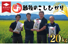 先行予約 こしひかり 白米 20kg 令和7年産 新米 甘うま越後の コシヒカリ 米 お米 こめ 新潟米 新潟県産 新潟産 新潟 新潟県 新発田産 新発田 新発田市 斗伸 toushin034
