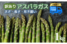 先行予約 訳あり アスパラガス 1kg 令和7年産 アスパラ 甘い 柔らかい 特産品 野菜 春野菜 夏野菜 JA北新潟 新潟県 新発田産 新発田市 JA002