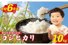 【令和6年産】 コシヒカリ 10kg 新潟県 米 こめ 白米 ご飯 おにぎり こしひかり 新発田産 新発田市 新潟 野口政一商店 noguchi004