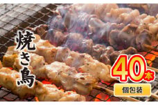 配達日指定可 焼き鳥 40本 もも 皮 せせり 砂肝 ぼんじり 5種盛 10本×4袋 小分け やきとり 焼鳥 鶏肉 とりにく とり 鳥 鶏 串 串焼き おつまみ あて ビール BBQ 焼き鳥セット おいしい バーベキュー アウトドア 冷凍 サトウフーズ 新潟県 新発田市 satofoods005