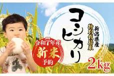 【先行予約】 令和7年産 コシヒカリ 特別栽培米 2kg 新米 白米 米 こしひかり こめ ごはん おにぎり お弁当 農家直送 産地直送 ふるさと納税 姉﨑農園 新潟産 新潟県 新発田市 anezaki007