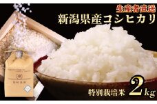 【先行予約】 令和7年産 コシヒカリ 特別栽培米 2kg 新米 白米 米 こしひかり こめ ごはん おにぎり お弁当 農家直送 産地直送 ふるさと納税 姉﨑農園 新潟産 新潟県 新発田市 anezaki007