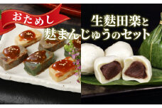 おためし 生麩田楽 2種 麩まんじゅう 3個 お試し よもぎ あわ 田楽みそ 冷凍 麩 あんこ 餡 スイーツ 茶菓子 和菓子 まんじゅう 簡単 田楽味噌 人気 本格 ギフト プレゼント おつまみ ヘルシー 宮村製麩所 新発田 新潟 miyamura010