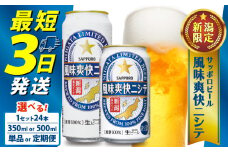 【定期便 3か月】サッポロビール 風味爽快ニシテ 350ml × 24本 定期便 ビール 新潟 限定 ビイル サッポロ ご当地 取り寄せ 酒 お酒 さけ sake アルコール ギフト プレゼント 贈り物 セット お土産 人気 おすすめ 新潟県 新発田市 shinbo2000_001