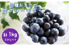 ブルーベリー 生 1kg 品種 おまかせ ジャム 直送 新鮮 朝食 ヨーグルト 冷蔵 フルーツ 果物 くだもの とれたて kanda002