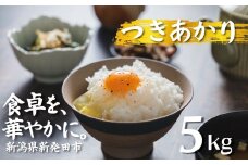 【先行予約】 令和7年産 つきあかり 5kg コシヒカリ こしひかり 同等以上の食味 ご飯 備蓄 コメ お米 米 こめ しんまい 新潟産 新潟米 新潟県 新潟 新発田 新発田市 国産 新発田市産 斗伸 toushin036