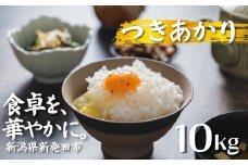 【先行予約】 令和7年産 つきあかり 10kg コシヒカリ こしひかり 同等以上の食味 ご飯 備蓄 コメ お米 米 こめ しんまい 新潟産 新潟米 新潟県 新潟 新発田 新発田市 国産 新発田市産 斗伸 toushin037
