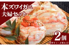 本ズワイガニ 夫婦セット 2個 本ズワイ100g メガニ80g 新潟県 佐渡産 ズワイ ガニ 蟹 かに カニ 蟹 蟹味噌 簡単調理 新発田市 魚介 今川屋 いまがわや おせち 年末年始 箱入り 贈答 プレゼント お歳暮 imagawaya012