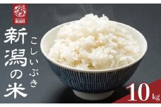 【先行予約】 令和7年産 こしいぶき 10kg コシヒカリ こしひかり 遺伝子を引き継ぐ ご飯 備蓄 コメ お米 米 こめ しんまい 新潟産 新潟米 新潟県 新潟 新発田 新発田市 国産 新発田市産 斗伸 toushin039