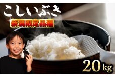 【先行予約】 令和7年産 こしいぶき 20kg コシヒカリ こしひかり 遺伝子を引き継ぐ ご飯 備蓄 コメ お米 米 こめ しんまい 新潟産 新潟米 新潟県 新潟 新発田 新発田市 国産 新発田市産 斗伸 toushin040