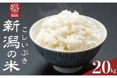 【先行予約】 令和7年産 こしいぶき 20kg コシヒカリ こしひかり 遺伝子を引き継ぐ ご飯 備蓄 コメ お米 米 こめ しんまい 新潟産 新潟米 新潟県 新潟 新発田 新発田市 国産 新発田市産 斗伸 toushin040