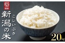【先行予約】 令和7年産 こしいぶき 20kg コシヒカリ こしひかり 遺伝子を引き継ぐ ご飯 備蓄 コメ お米 米 こめ しんまい 新潟産 新潟米 新潟県 新潟 新発田 新発田市 国産 新発田市産 斗伸 toushin040