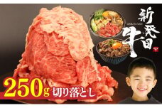 牛肉 切り落とし 250g 肉 和牛 霜降り ブランド牛 新発田牛 にいがた和牛 しゃぶしゃぶ 小分け 小間切れ 新潟県 新発田市 新潟 新発田 アルビレックス アルビレックス新潟 近江牛 神戸牛 松阪牛 米沢牛 三大和牛 に負けない えのもとミート enomoto020