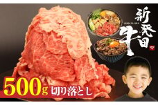 牛肉 切り落とし 500g 肉 和牛 霜降り ブランド牛 新発田牛 にいがた和牛 しゃぶしゃぶ 小分け 小間切れ 新潟県 新発田市 新潟 新発田 アルビレックス アルビレックス新潟 近江牛 神戸牛 松阪牛 米沢牛 三大和牛 に負けない えのもとミート enomoto001