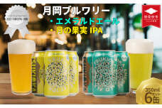 クラフトビール 飲み比べ 350ml 6本セット 2種 エール IPA エメラルドエール 月の果実IPA 6本 6缶 セット 月岡ブルワリー 月岡 ブルワリー 拘り 綺麗 きれい キレイ ビール 地ビール ギフト プレゼント 女性 初心者 入門 アルコール低め 度数 低め ホップ マスカット グレープフルーツ フルーツ フルーツエール 苦味 苦み 新潟県 新発田市 shinbo017