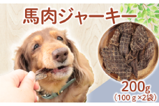 ドッグフード 馬肉ジャーキー 200g (100g×2袋) 【 馬肉 ドックフード ジャーキー ペット おやつ ペット用品 犬用 無添加 無着色 国内製造 安心 安全 自然食品 ケーティーコモディティ KT 新潟県 新発田市 KT042 】