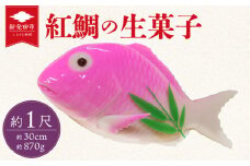 紅鯛の生菓子 鯛 タイ 生菓子 冷蔵 菓子 お菓子 和菓子 スイーツ お祝い 内祝い ギフト 贈り物 贈答用 美味しい お取り寄せ のし ギフト 包装 老舗 新潟県 新発田市 kanekoya003