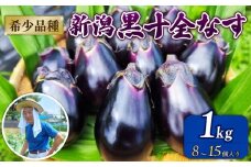 新潟黒十全なす 新鮮 朝採り 採りたて 1kg 令和7年産 茄子 ナス 特産品 野菜 夏野菜 つぐちゃん畑 新潟 新潟県 新発田産 新発田市 tsuguchan002