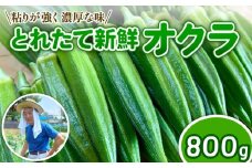 オクラ 新鮮 朝採り 採りたて 800g 令和7年産 おくら 特産品 野菜 夏野菜 つぐちゃん畑 新潟 新潟県 新発田産 新発田市 tsuguchan001