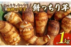 【先行受付】 里芋 「餅っちり芋」 新鮮 採りたて 1kg 令和7年産 栽培期間中農薬不使用 希少 在来種 さといも サトイモ 芋 イモ いも 特産品 野菜 つぐちゃん畑 新潟 新潟県 新発田産 新発田市 tsuguchan003