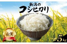 【2026年2月発送】金賞米 コシヒカリ 5kg 令和7年産 こしひかり 精米 白米 ご飯 おにぎり 弁当 新潟県産 新発田産 新潟 米 お米 こめ 受賞 越後新鮮組 新潟県 米 新潟県 新発田市 shinsengumi001_202602