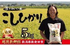 【2026年2月発送】金賞米 コシヒカリ 5kg 令和7年産 こしひかり 精米 白米 ご飯 おにぎり 弁当 新潟県産 新発田産 新潟 米 お米 こめ 受賞 越後新鮮組 新潟県 米 新潟県 新発田市 shinsengumi001_202602