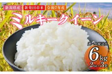 【2025年11月発送】令和7年産 米 6kg 新潟県産 ミルキークイーン 11月発送 2kg×3袋 精米 玄米 自宅用 家庭用 贈答用 ギフト お祝い 白米 お弁当 おにぎり ご飯 ごはん 人気 おすすめ 新潟県 新発田市 D10_02_202511