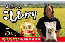 【2025年11月発送】金賞米 コシヒカリ 5kg 令和7年産 こしひかり 精米 白米 ご飯 おにぎり 弁当 新潟県産 新発田産 新潟 米 お米 こめ 受賞 越後新鮮組 新潟県 米 新潟県 新発田市 shinsengumi001_202511
