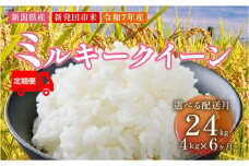 【2025年12月開始定期便】 令和7年産 新潟県新発田産 ミルキークイーン 2㎏ × 2袋 6か月 選べる お届け開始時期 米 お米 ごはん 白米 佐々木耕起組合 プレゼント ギフト 贈答 定期便  新潟県 新潟産 新発田産 D43_002_202512