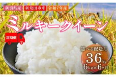 【2026年1月開始定期便】令和7年産 新潟県新発田産 ミルキークイーン 2㎏×3袋 6か月 選べる お届け開始時期 米 お米 ごはん 白米  佐々木耕起組合 プレゼント ギフト 贈答 定期便 米 新潟県 新潟産 新発田産 D44_002_202601